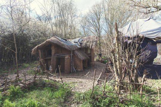 布朗稱打活塞替補(bǔ)主攻也能贏！活塞主帥：這不是我們的關(guān)注點(diǎn)